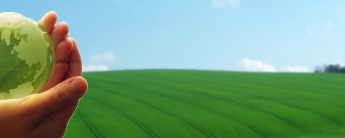 Berli Dynaplast Plastic.